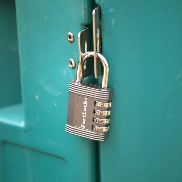 FortLocks lock in use